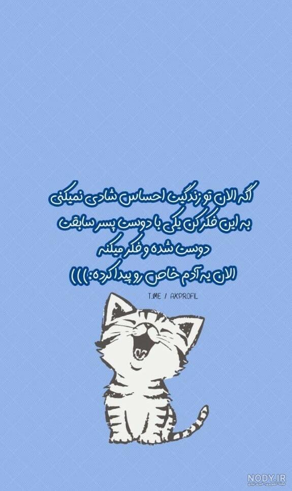 عکس بچه گربه سیاه عکس بچه گربه سیاه