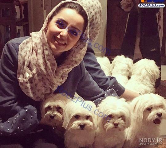 عکس سگ های پشمالو و بانمک