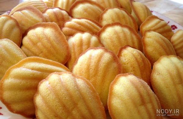 عکس شیرینی صدفی عکس شیرینی صدفی