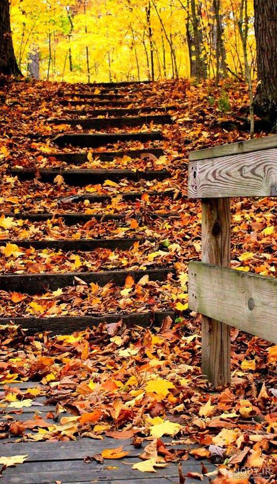 پس زمینه رویایی با کیفیت بالا