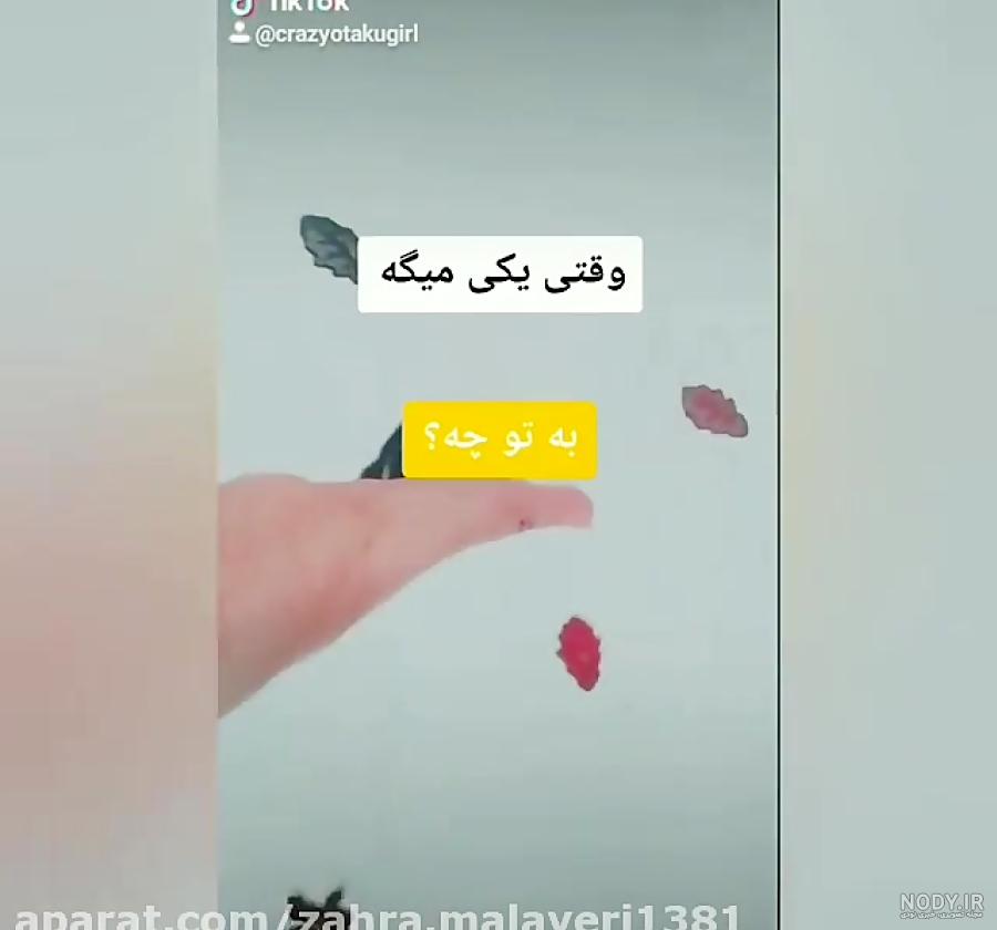 کانال حاضر جوابی های +18 کانال حاضر جوابی های +18
