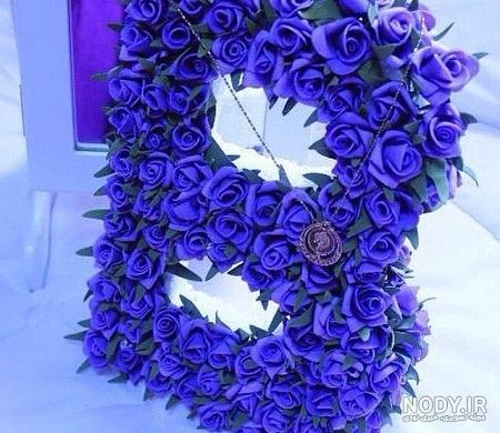 اسم گلهای آپارتمانی