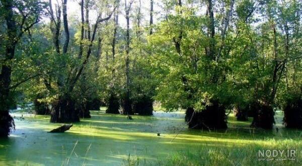 بهترین منطقه بابلسر کجاست