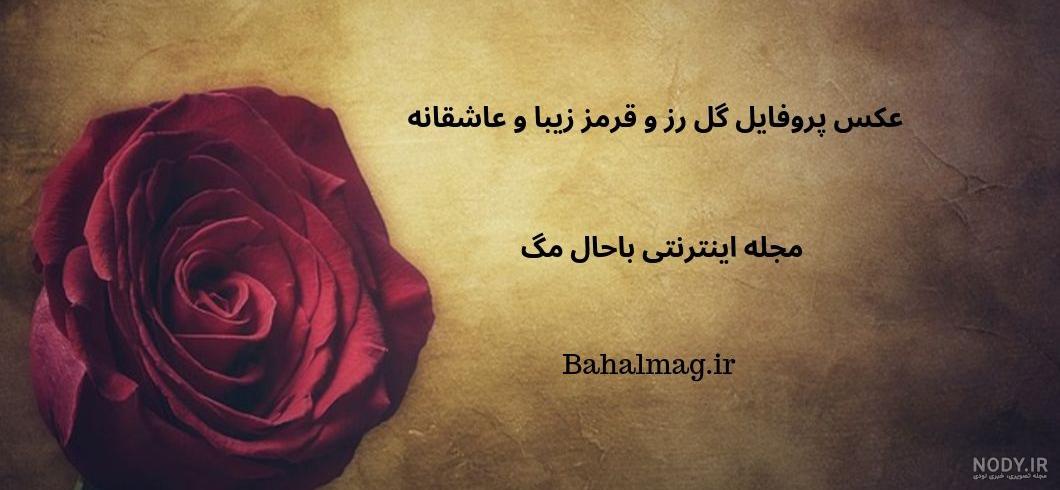 بهترین گلهای آپارتمانی