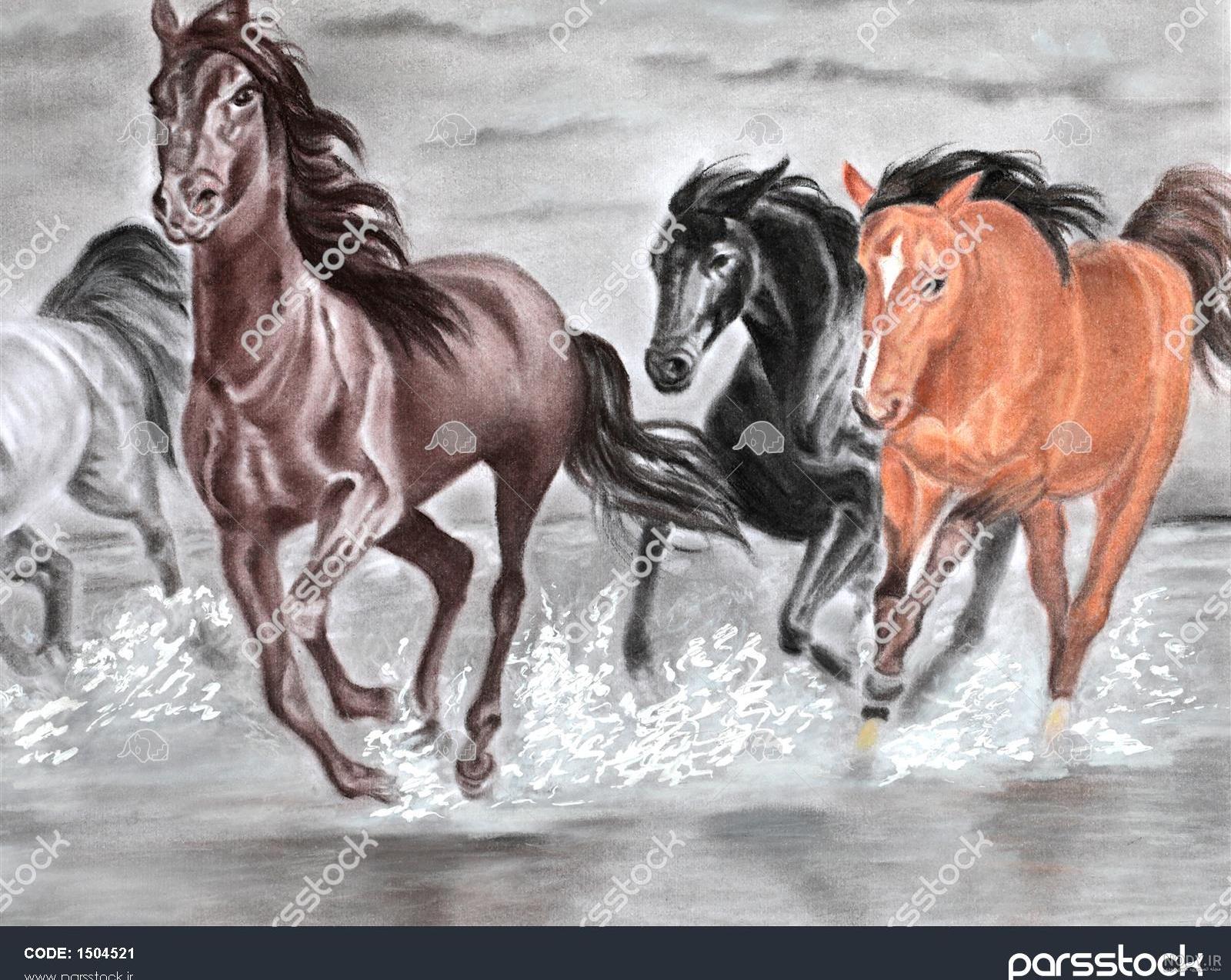 عکس اسب دونده در آب