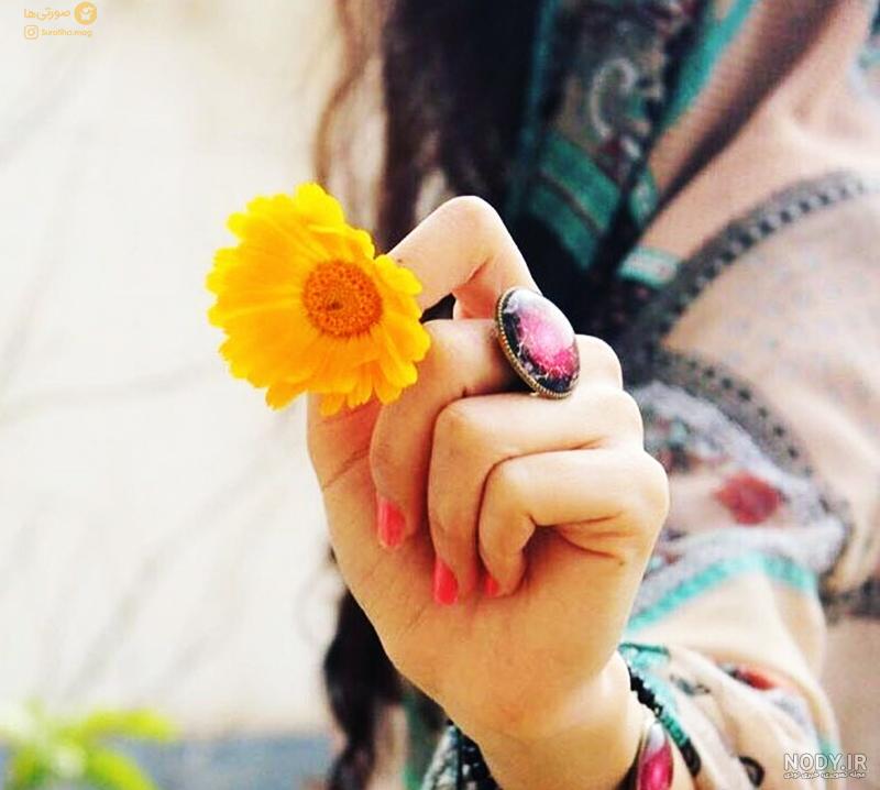 عکس طبیعت فوق العاده زیبا عکس طبیعت فوق العاده زیبا