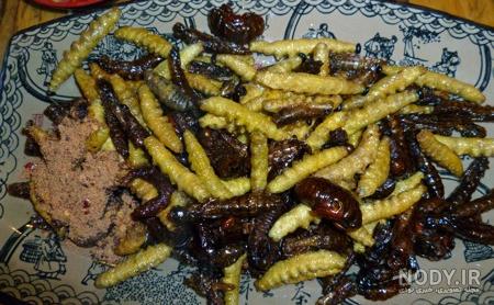 عکس غذای سوسک