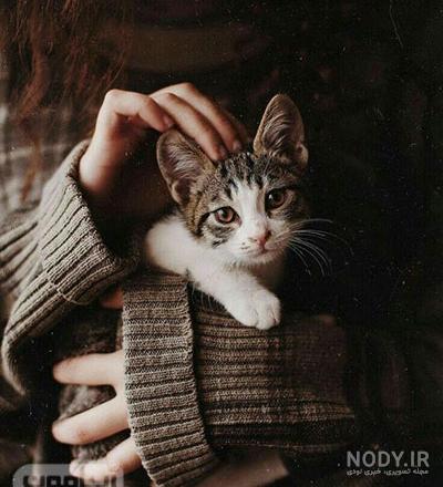 عکس نوشته گربه صفتی