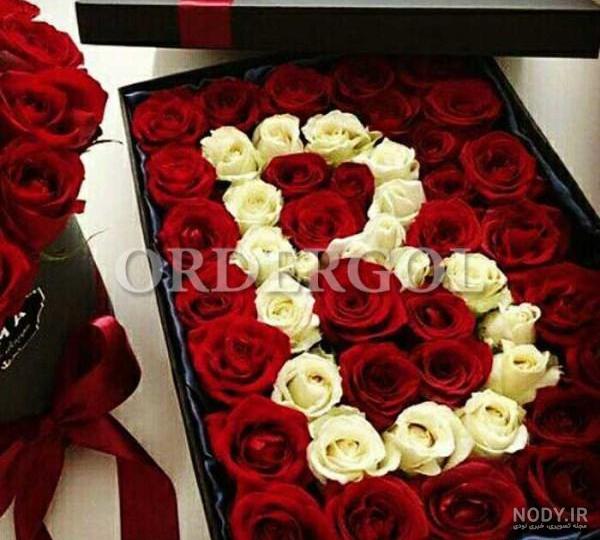 عکس گل زغال اخته