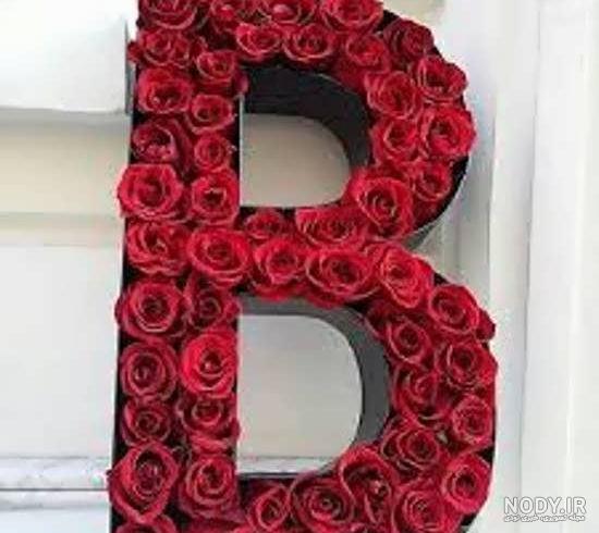 عکس گل زیبا
