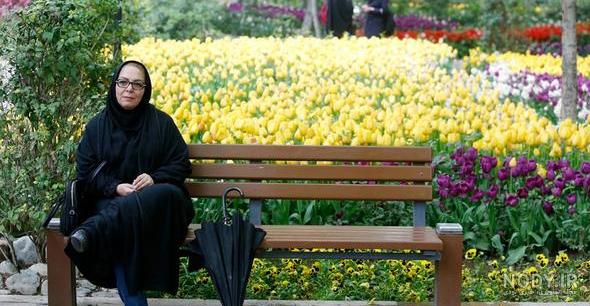 عکس گل زیبا ایرانی