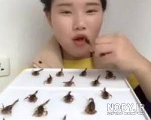 غذای سوسک شاخدار