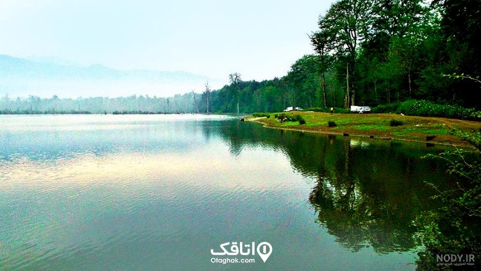 نزدیک ترین جنگل به بابلسر