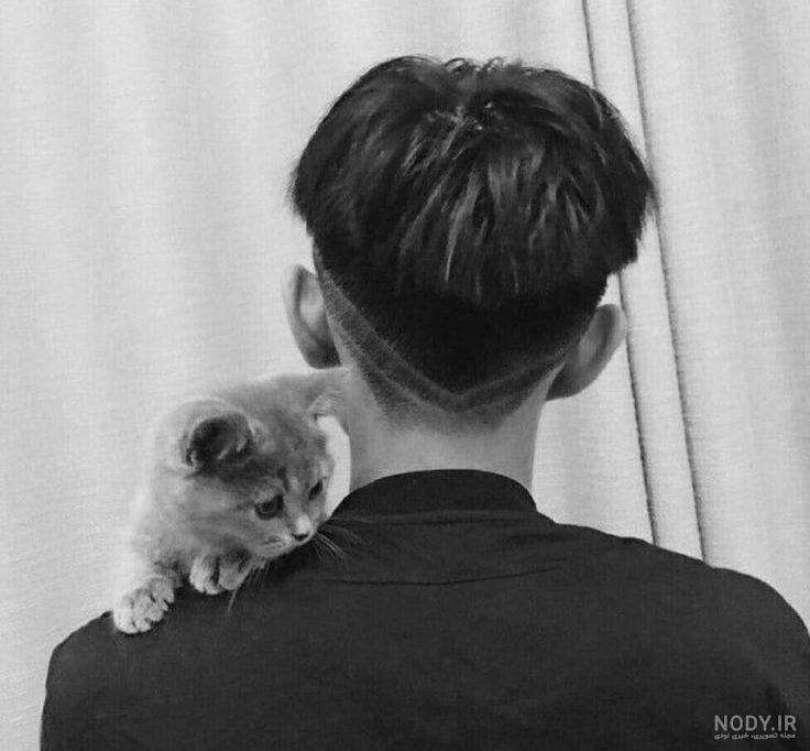  عکس گربه برای پروفایل پسرانه