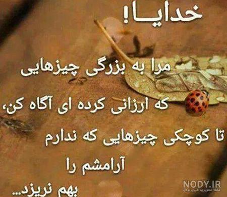 بیوگرافی هیچکس بیوگرافی هیچکس
