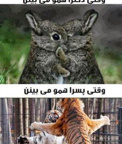 عکس باحال جالب
