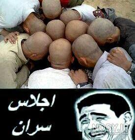 عکس هیچکس و پیشرو عکس هیچکس و پیشرو