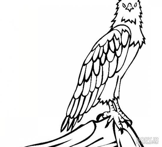 نقاشی کودکانه عقاب در حال پرواز نقاشی کودکانه عقاب در حال پرواز
