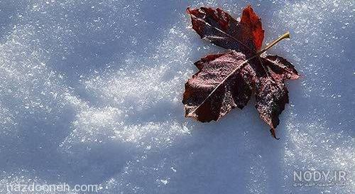  عکس دختر زمستانی فانتزی