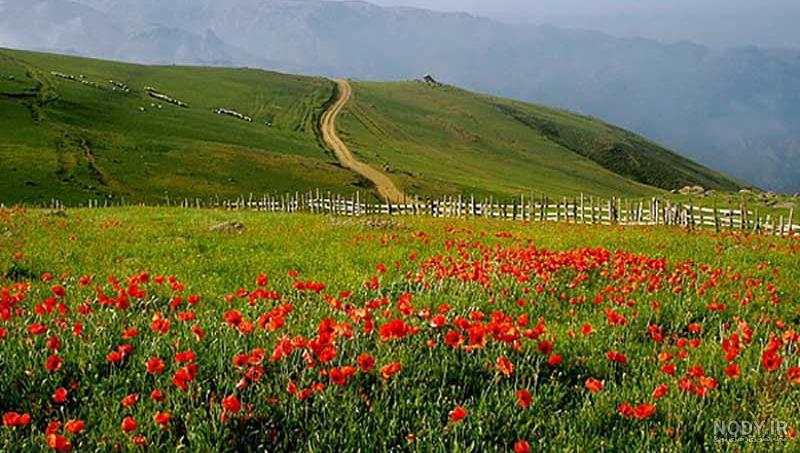 جاهای دیدنی قزوین در پاییز جاهای دیدنی قزوین در پاییز