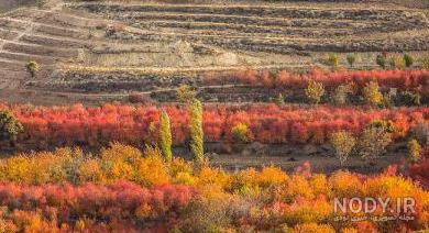 جاهای دیدنی قزوین کجاست جاهای دیدنی قزوین کجاست