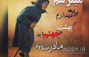 عکس برای پروفایل واتساپ گل عکس برای پروفایل واتساپ گل