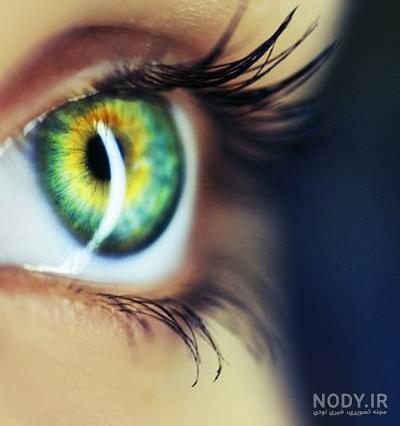 چشمانم را ببین
