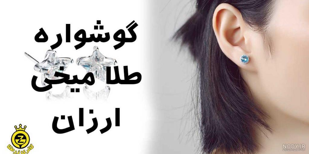 انواع گوشواره حلقه ای انواع گوشواره حلقه ای