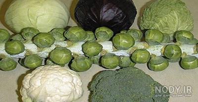 طریقه مصرف کلم بروکلی خام