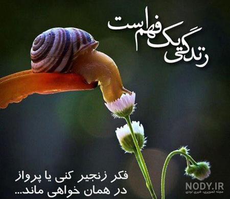 عکس پروفایل خفن عکس پروفایل خفن