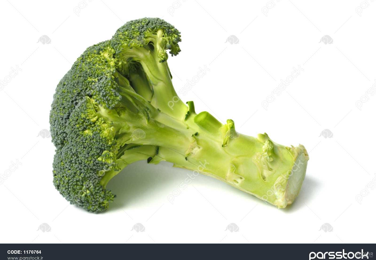 نقاشی گل کلم نقاشی گل کلم