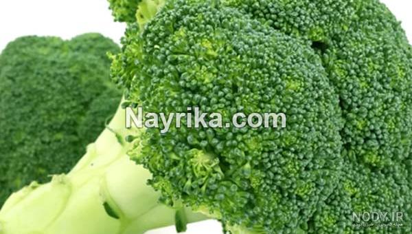 همه چیز درباره کاشت کلم بروکلی