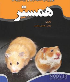 بچه همستر را کی از مادر جدا کنیم