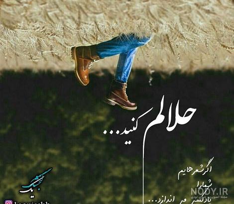 امشب حلالم کنید امشب حلالم کنید
