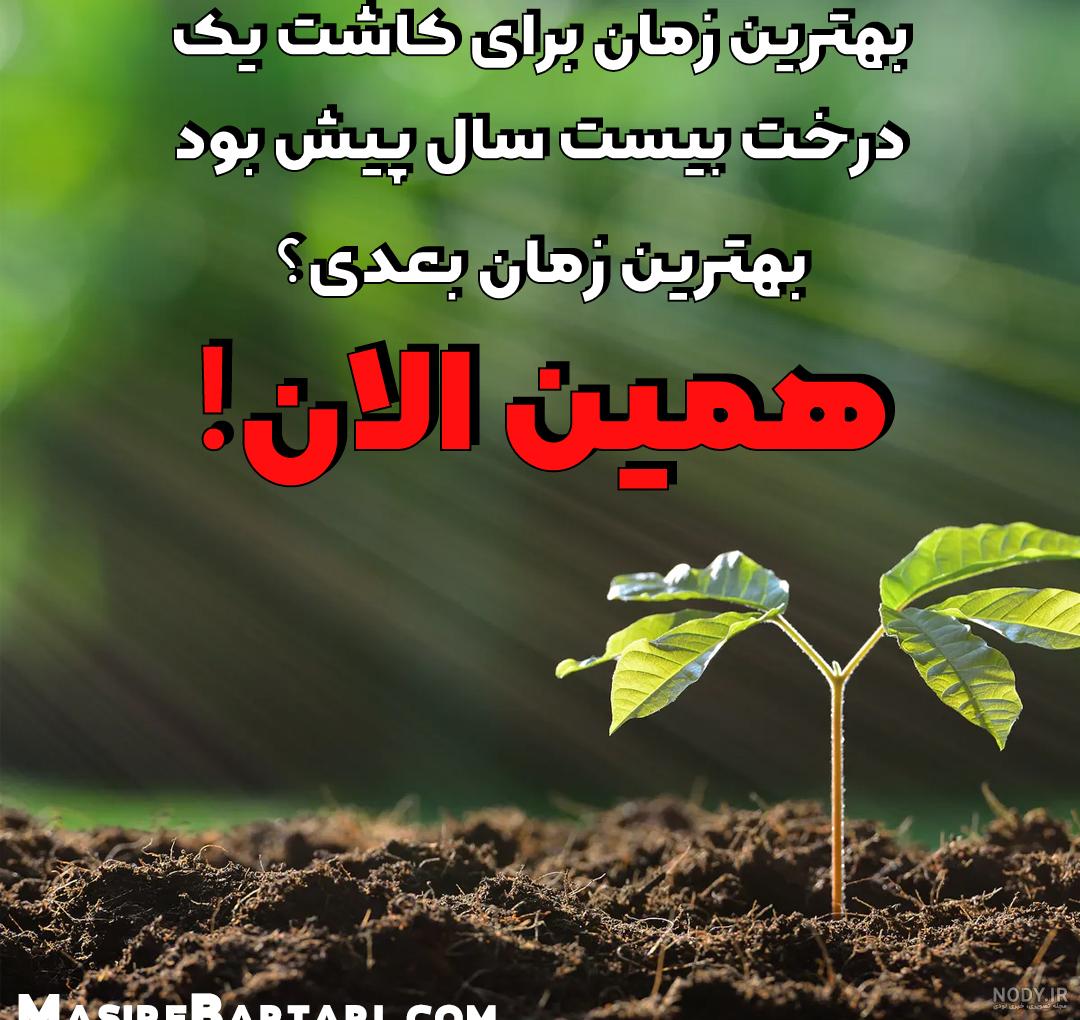 جملات تاکیدی اسکاول شین برای عشق جملات تاکیدی اسکاول شین برای عشق