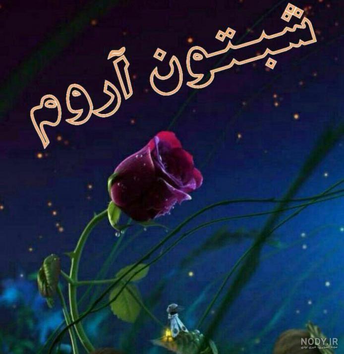 زیباترین شب بخیر