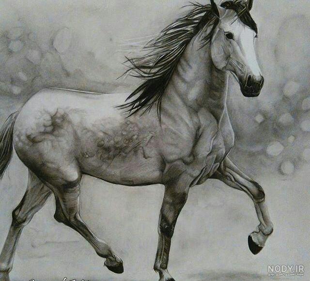 نقاشی اسب سخت نقاشی اسب سخت
