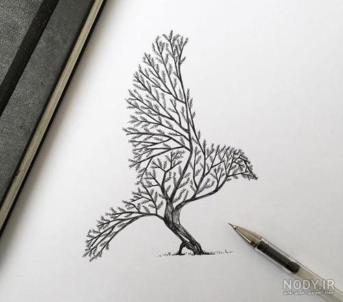نقاشی سیاه قلم از طبیعت ساده