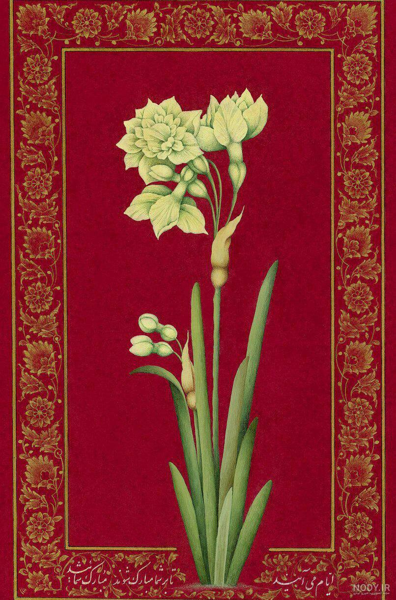  عکس گل نرگس و پروانه