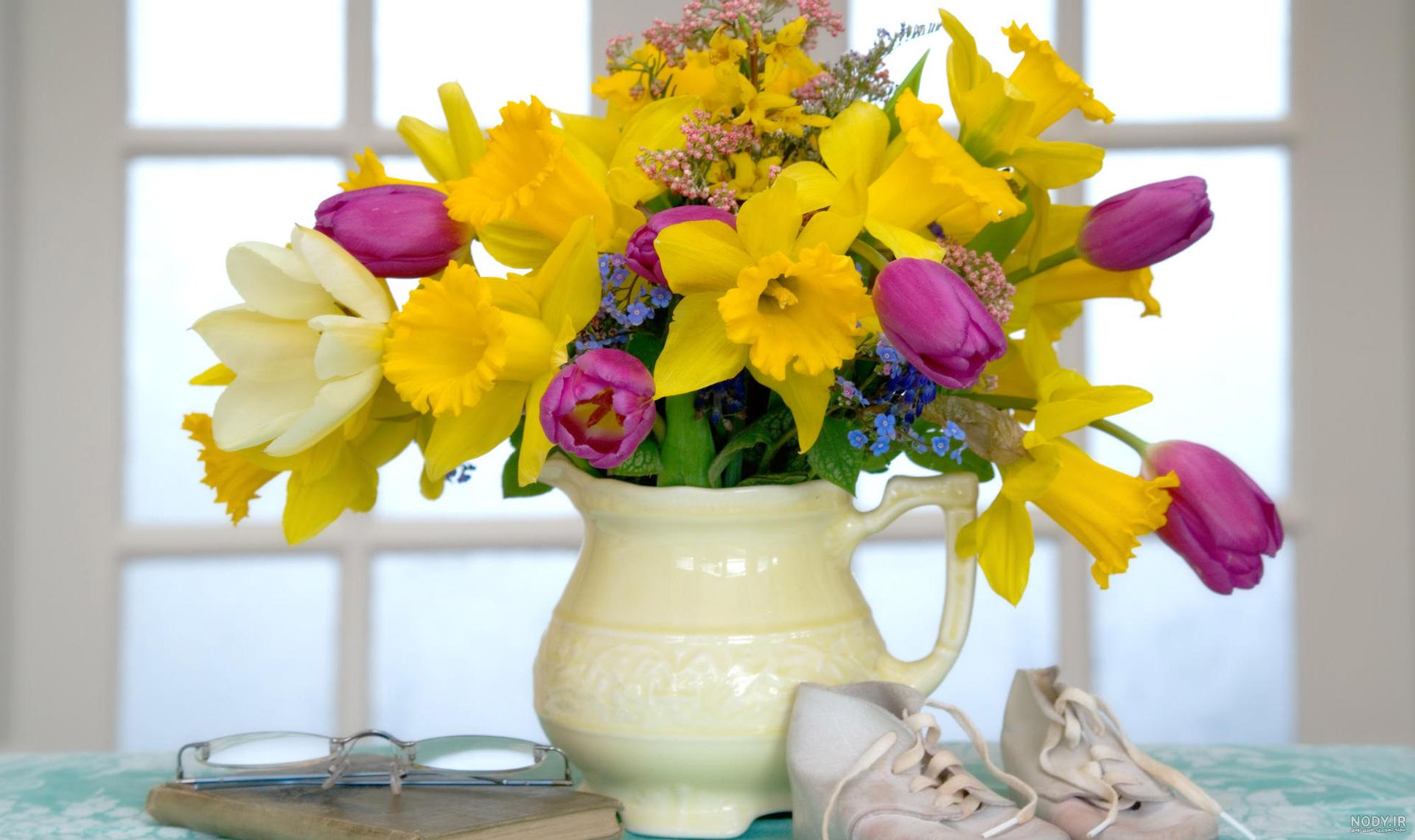  عکس گل نرگس و پروانه