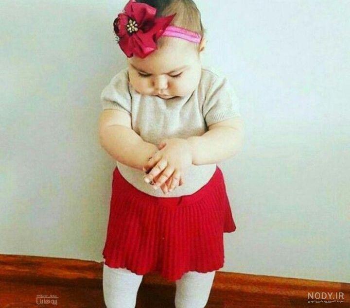 عکس ببر
