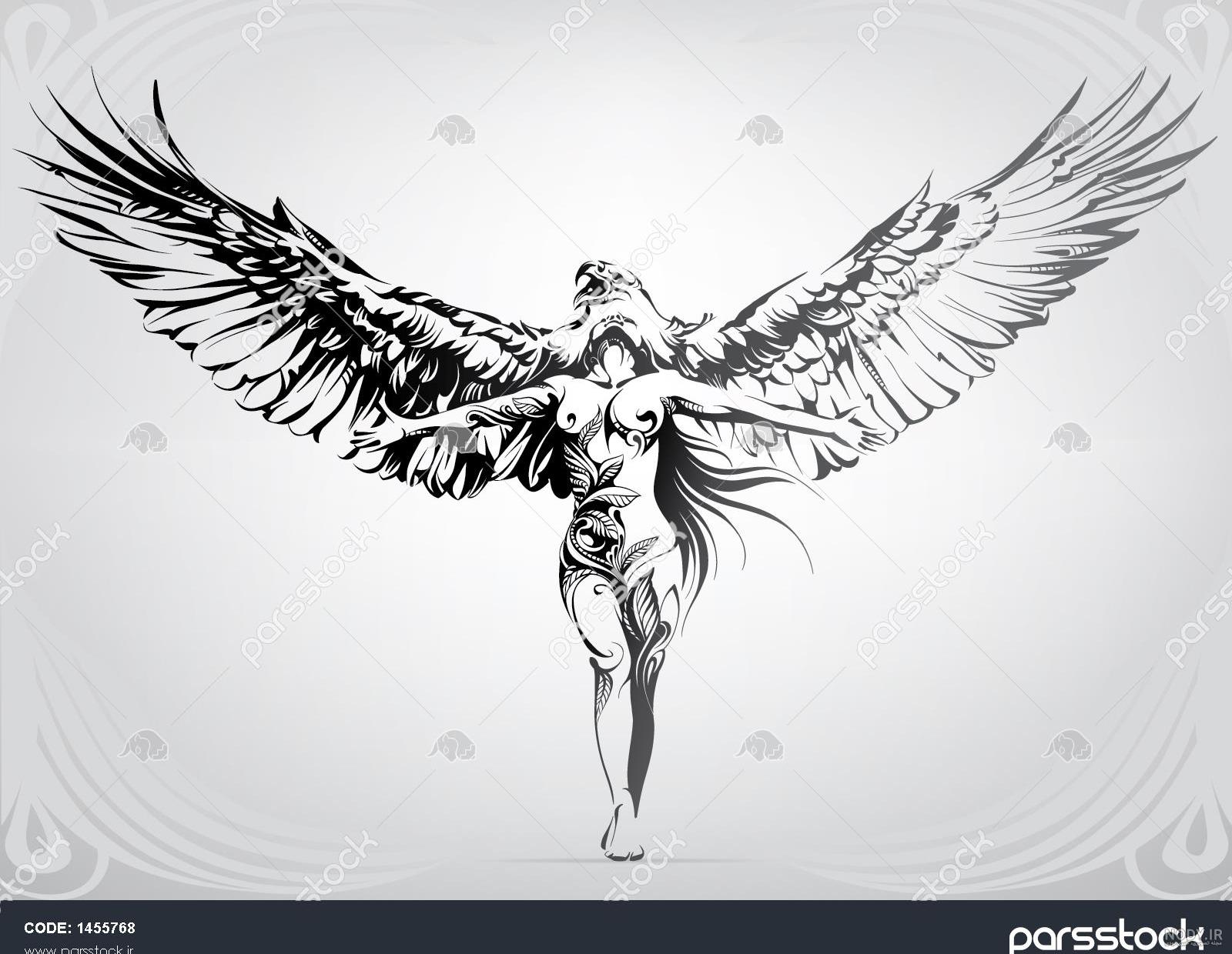 عکس عقاب خنده دار