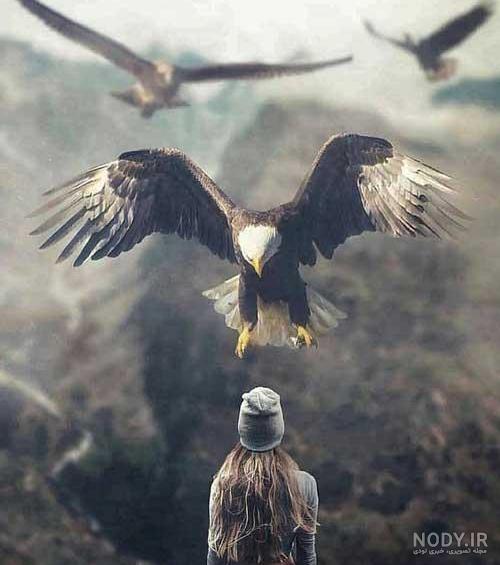 عکس عقاب زنده