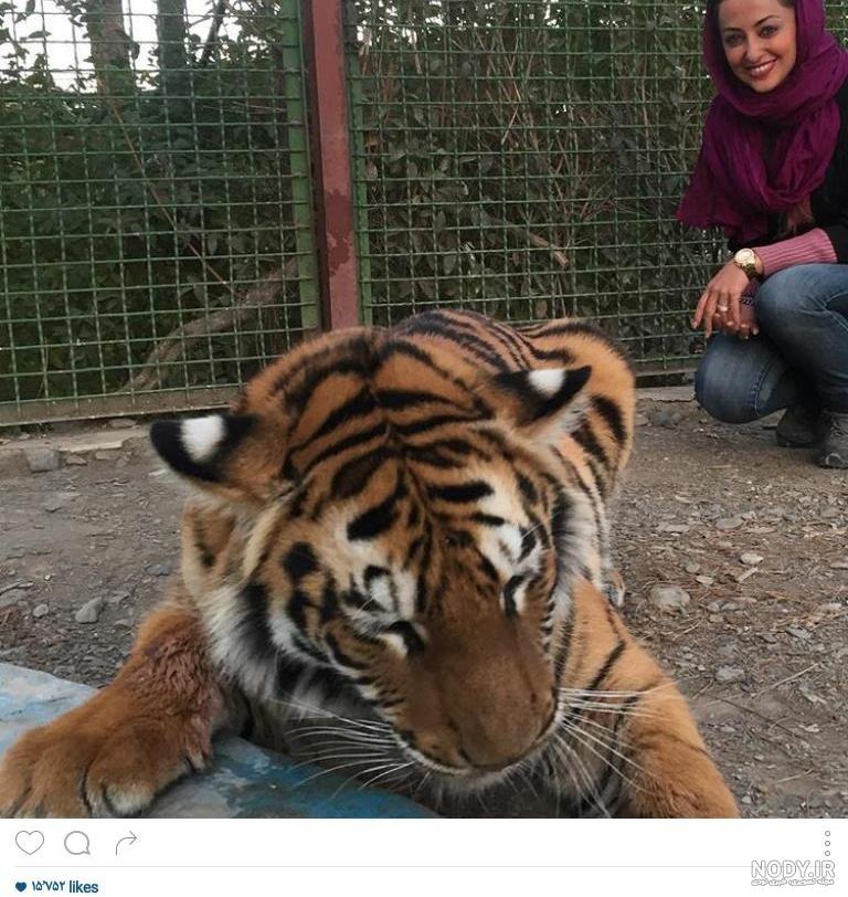 عکس پلنگ سیاه قهرمان برای پروفایل