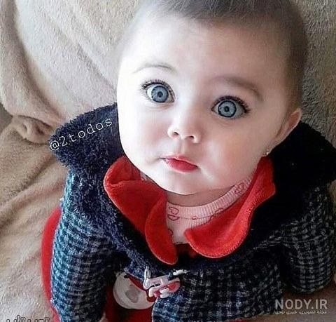 عکس پلنگ و ببر
