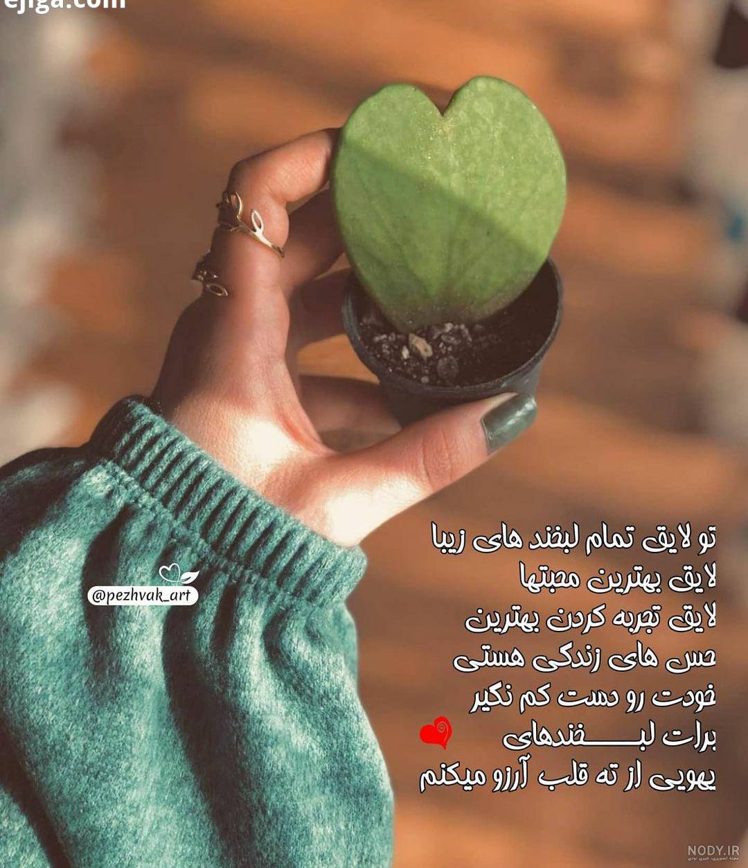 پروفایل نالایق