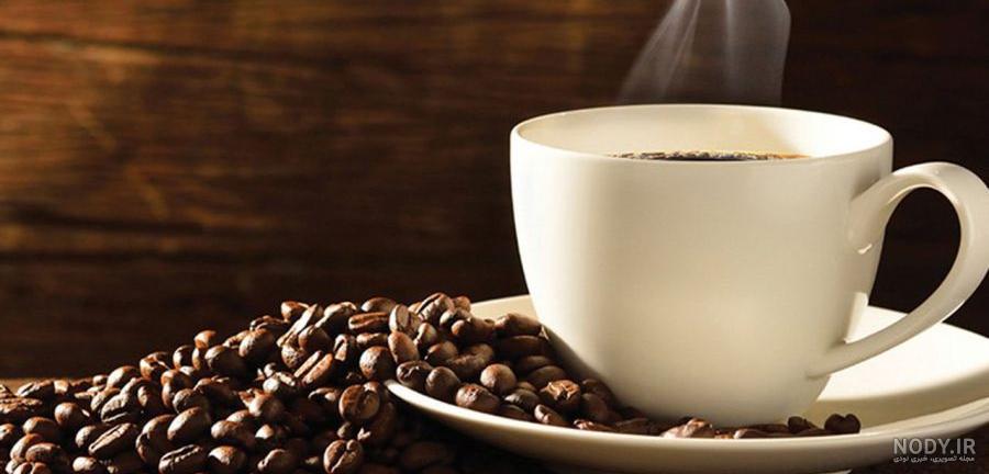 تعبیر عاج فیل در فال قهوه تعبیر عاج فیل در فال قهوه