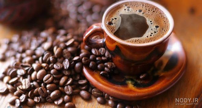 تفسیر کبک در فال قهوه تفسیر کبک در فال قهوه