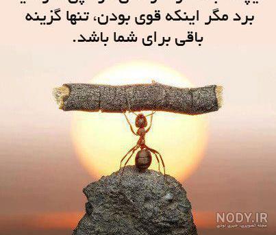 جملات انگیزشی تغذیه جملات انگیزشی تغذیه