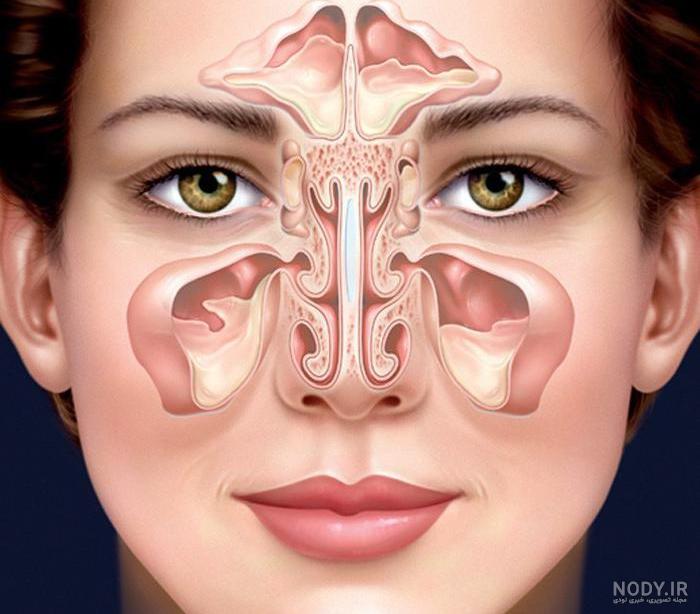 عکس داخل بینی نوزاد عکس داخل بینی نوزاد